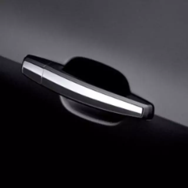 Door Handles - GM (22817274)