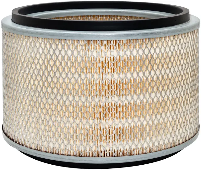 PA2596 - : Air Element for Baldwin Image