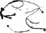 241259HU2B - : Harness-Front Door, Left-hand for Nissan Image