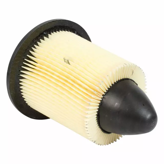 Element Assembly Air Cleaner - Ford (F4ZZ-9601-AX)