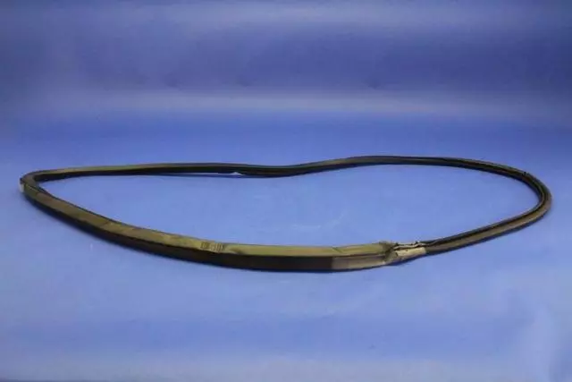 Door Glass Weatherstrip, Right - Mopar (4763878AE)