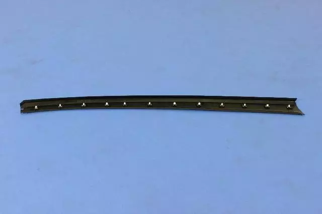 Roof Panel Applique, Right - Mopar (1AV10RXFAD)