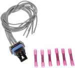 645681 - Electrical, Lighting and Body: GM Multi-Applications Socket With Pigtails for Dorman Image