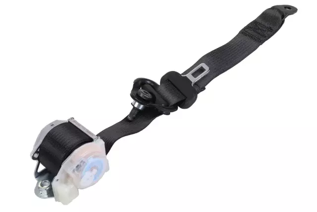 19368229 - : Outer Belt Assembly for GMC: Terrain Image