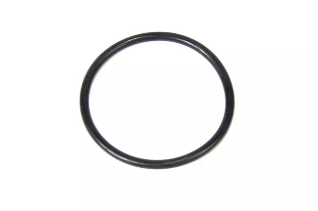 55486852 - : Fuel Pump O-Ring for Chevrolet: Cruze, Equinox | GMC: Terrain Image