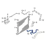 L1MZ8C289B - Cooling System: Water Hose for Ford: Police Interceptor Utility Image