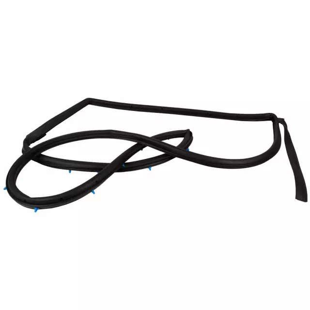 CE8Z58253A11F - Body: Door Weather-strip for Ford: Fiesta Image