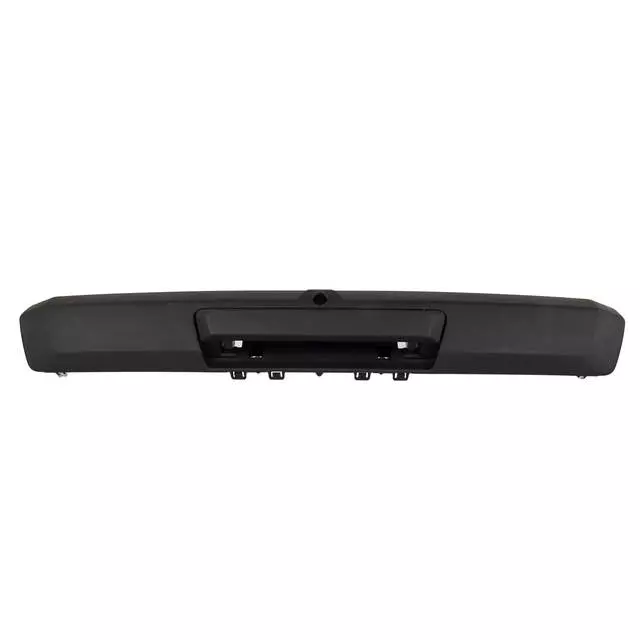 HC3Z9943400BC - Body: Handle for Ford: F-250 Super Duty, F-350 Super Duty, F-450 Super Duty Image