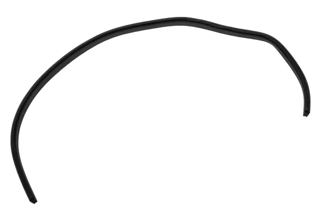 95319028 - : 2015-2021 Chevrolet Trax - Glass Weather-Strip for Chevrolet: Trax Image