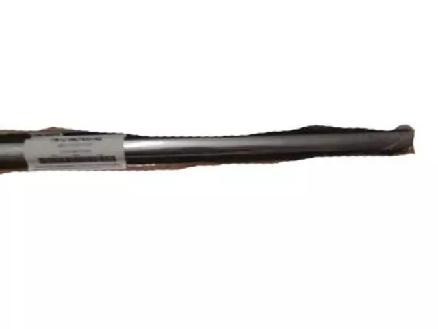 Belt Weather-Strip - Ford (YW1Z-5421453-AB)