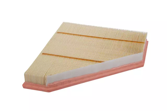 Air Filter - GM (20857930)