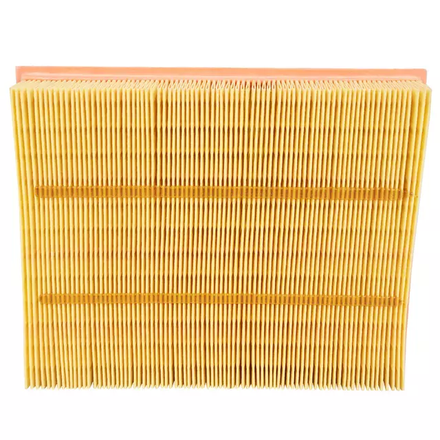 Air Filter - Ford (DS7Z-9601-D)