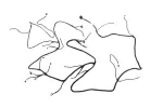 26585713 - : F Harness for GM Image