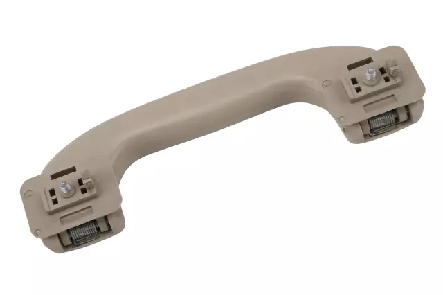 Neutral Roof Rail Assist Handle - GM (15924264)