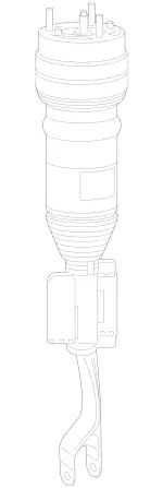 2533200601 - : Air Spring Strut for Mercedes-Benz Image
