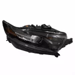 DG1Z13008N - : Headlamp Housing for Ford: Police Interceptor Sedan, Special Service Police Sedan, Taurus Image