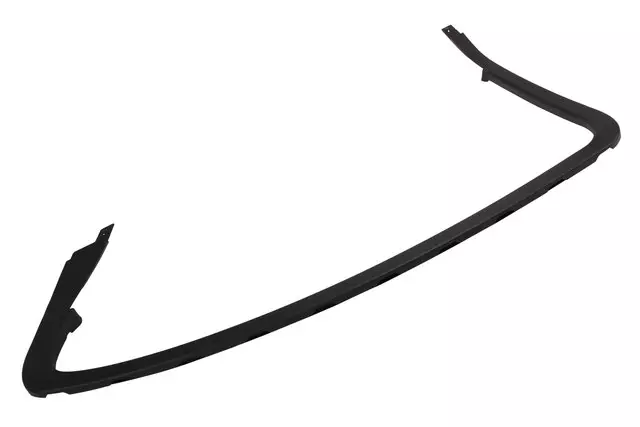 20900034 - Body: Upper Molding for Buick: LaCrosse Image