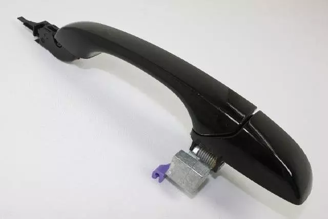 Exterior Door Handle, Right - Mopar (1MW30DX8AE)