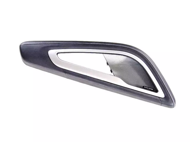 Door Armrest - Mopar (5QZ19YSAAA)