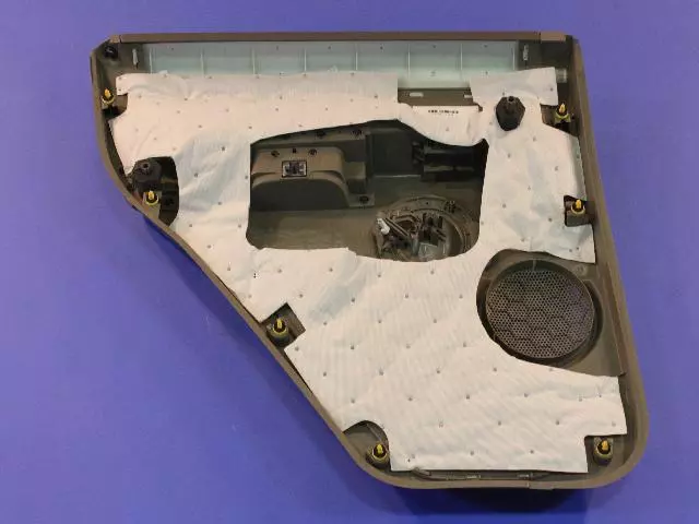 Rear Door Trim Panel, Right - Mopar (1DY581J8AB)