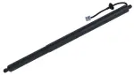615089 - : Liftgate Lift Support for Tuff Support Image