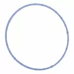 AL3Z9E936A - Engine: Intake Manifold Gasket for Ford: E-350 Super Duty, E-450 Super Duty, F-150, F-250 Super Duty, F-350 Super Duty, Mustang Image