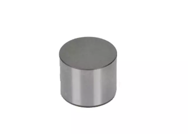 19205448 - : Engine Hydraulic Valve Adjuster/Valve Lifter for GM Image