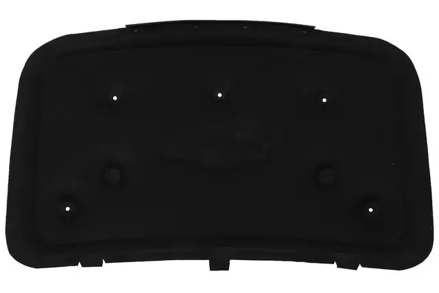 84108317 - Body: Insulation for Chevrolet: Colorado Image