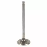 AA5Z6505A - : Exhaust Valve for Ford Image