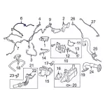 LX6Z9D333R - Emission System: Vapor Hose for Ford: Escape | Lincoln: Corsair Image