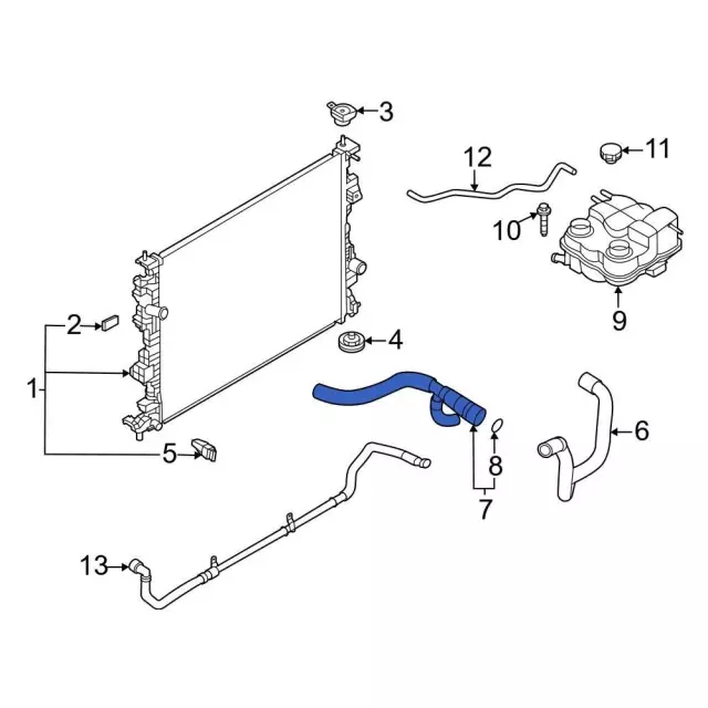 Hose Radiator - Ford (LX6Z-8260-AE)