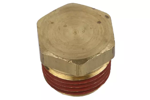 F Plug - GM (98320375)