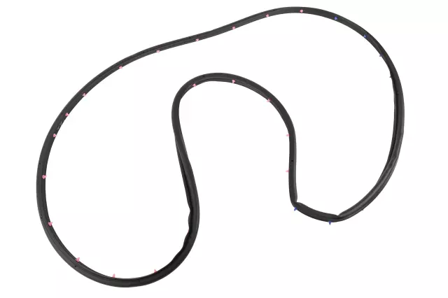 Door Weather-Strip - GM (22973971)