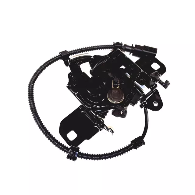 Latch - Volkswagen (1C0-823-509-AE)