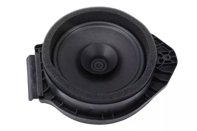 F Speaker - GM (85123716)