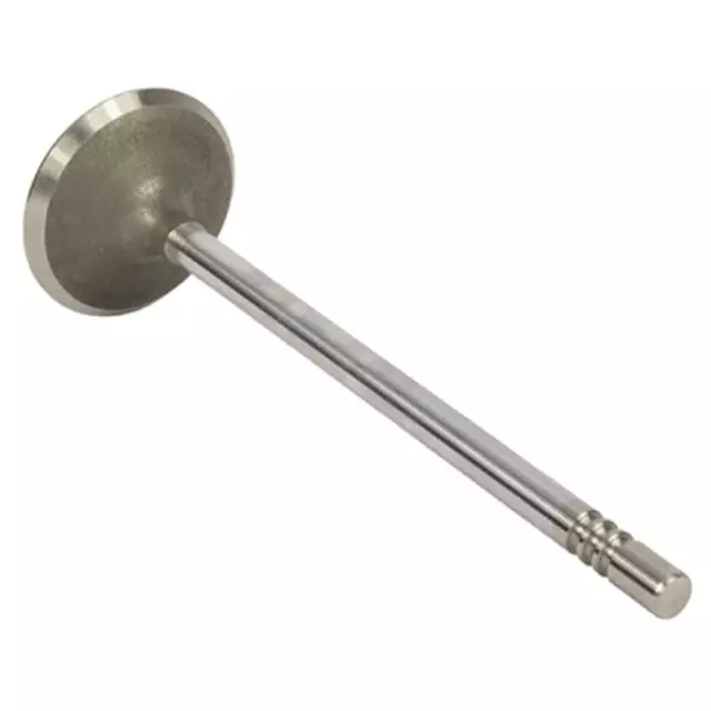 Intake Valve - Ford (AL8Z-6507-A)