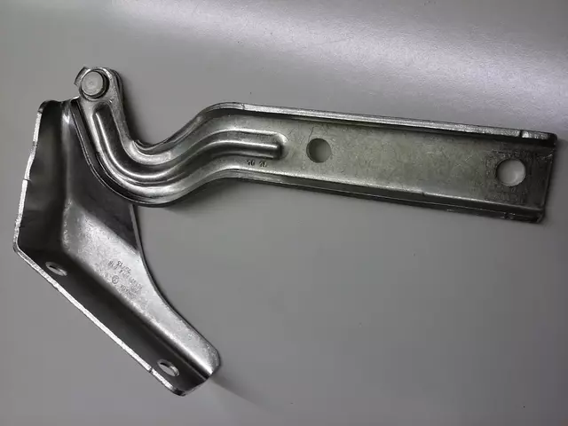 Hinge - Volkswagen (3C8-823-301-A)