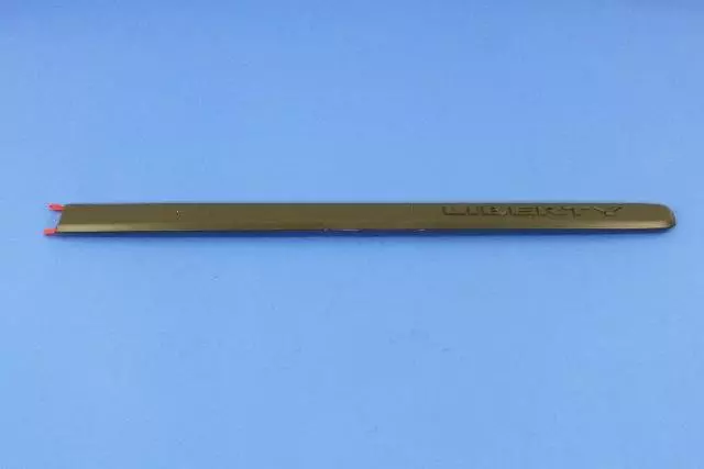 Front Door Molding, Lower Right - Mopar (5JR86CJMAA)