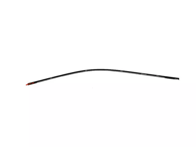 Day Light Opening Molding, Left - Mopar (68257471AD)