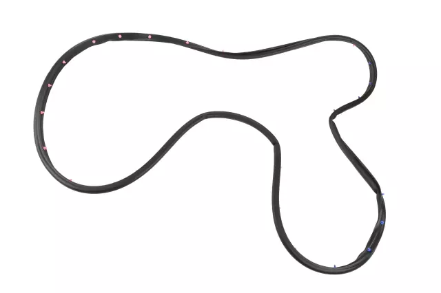 Door Weather-Strip - GM (22973971)