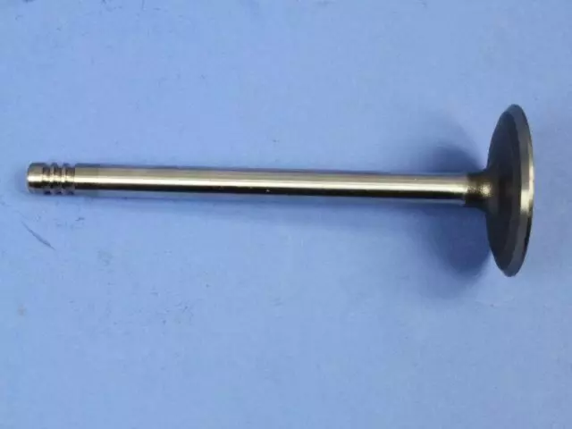 4663836 - : Intake Valve for Chrysler: 300, 300M, Concorde, LHS, Pacifica, Prowler, Sebring, Town &amp; Country | Dodge: Avenger, Challenger, Charger, Grand Caravan, Intrepid, Journey, Magnum, Nitro Image