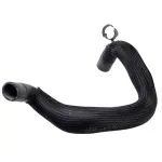 KM6992 - Belts &amp; Cooling: Motorcraft™ Radiator Coolant Hose for Ford: Bronco Sport Image