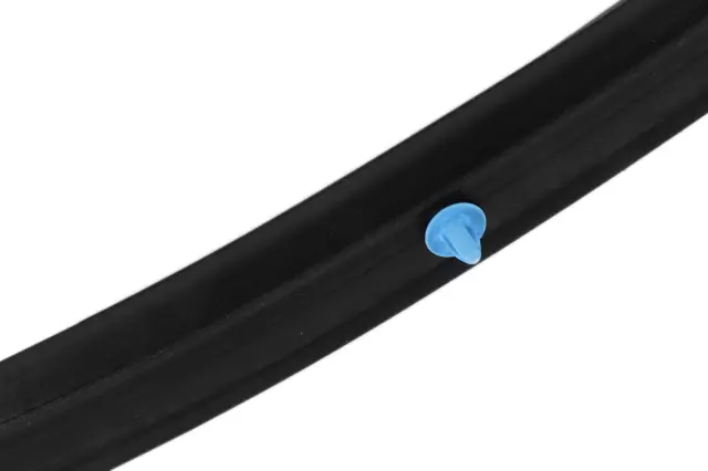 39203329 - : Door Weather-Strip for Buick: Regal Sportback, Regal TourX Image