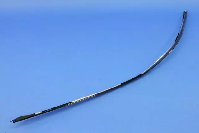 Day Light Opening Molding, Left - Mopar (68224369AE)