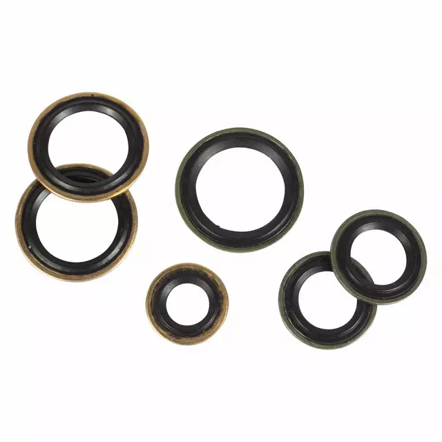 DR3Z19B596A - HVAC: Liquid Line O-Ring for Ford: Escape, F-250 Super Duty, F-350 Super Duty, F-450 Super Duty, F-550 Super Duty, Fusion, Mustang, Police Responder Hybrid, SSV Plug-In Hybrid | Lincoln: MKC, MKZ Image
