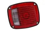 19405209 - : F Lamp for GM Image