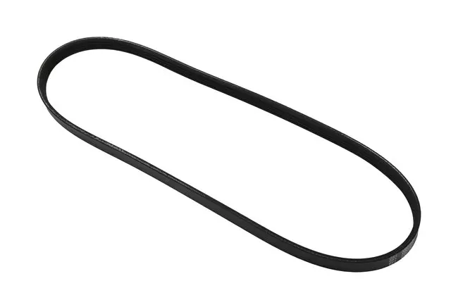 AC Belt - GM (12731925)