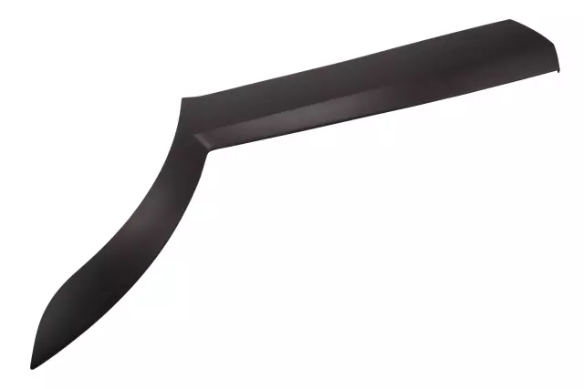 Rear Driver Side Door Lower Molding - GM (88973247)