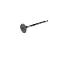 5048022AA - : Exhaust Valve for Mopar Image