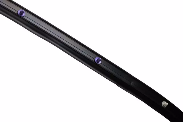 Door Weather-Strip - GM (84270781)